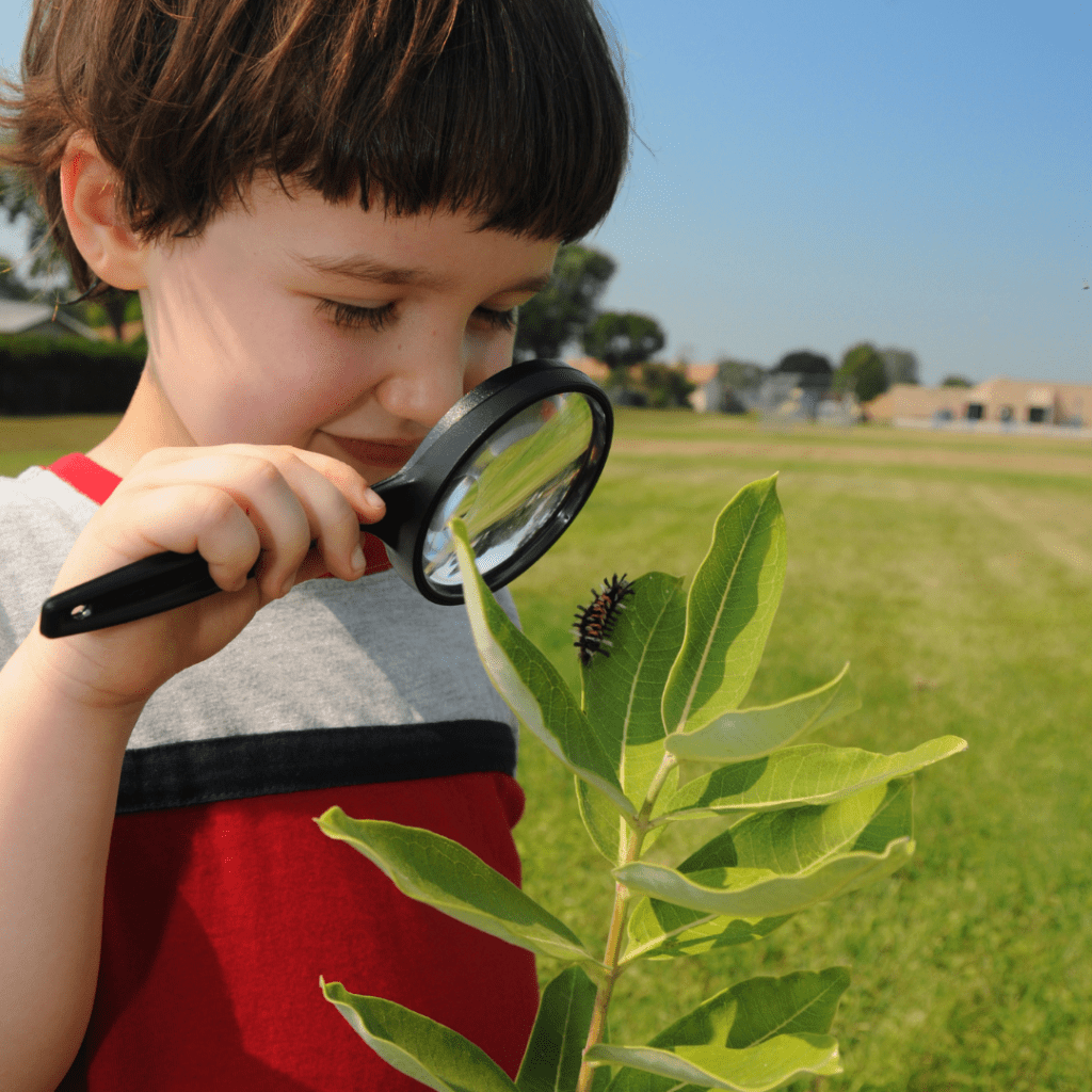 Untitled design (15)