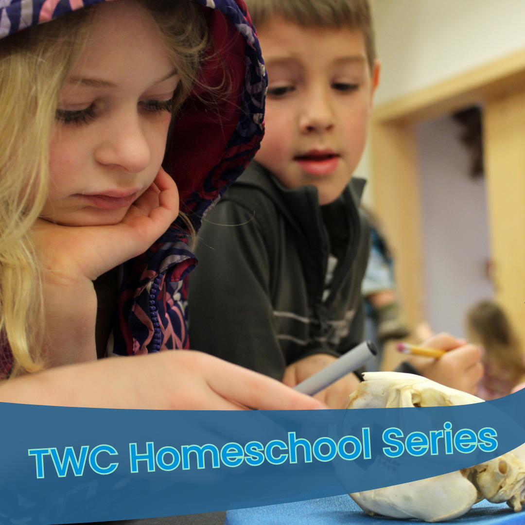 TWC Homeschool Series