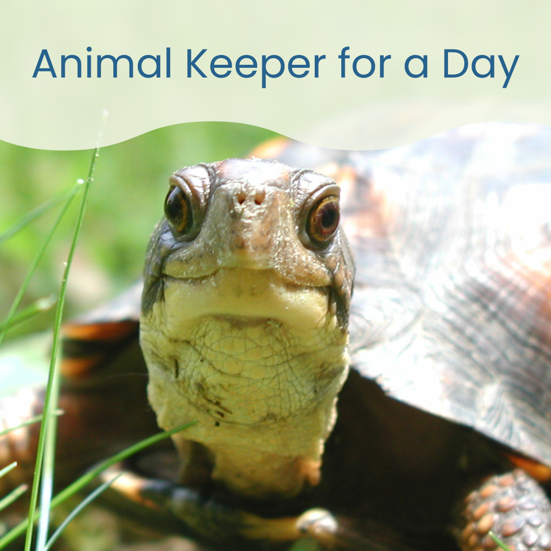 Storytime Sprouts square