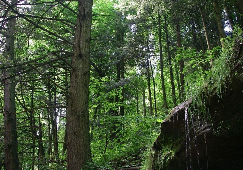 Visit_MoretoExplore-twc