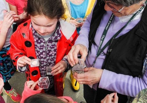 Community_Foxfieldwc