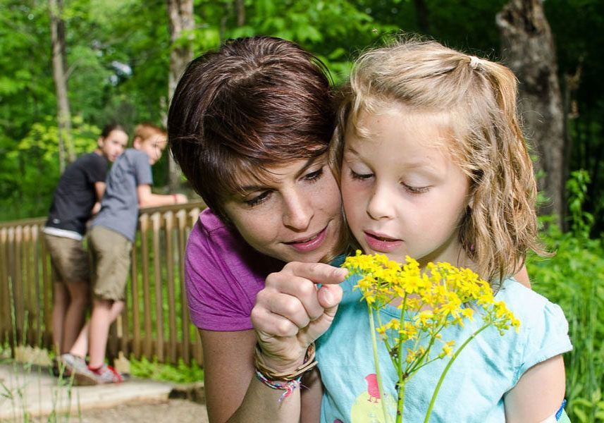 Homepage_Education-twc-landscape-rc