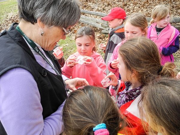 1SchoolYouth_Schools