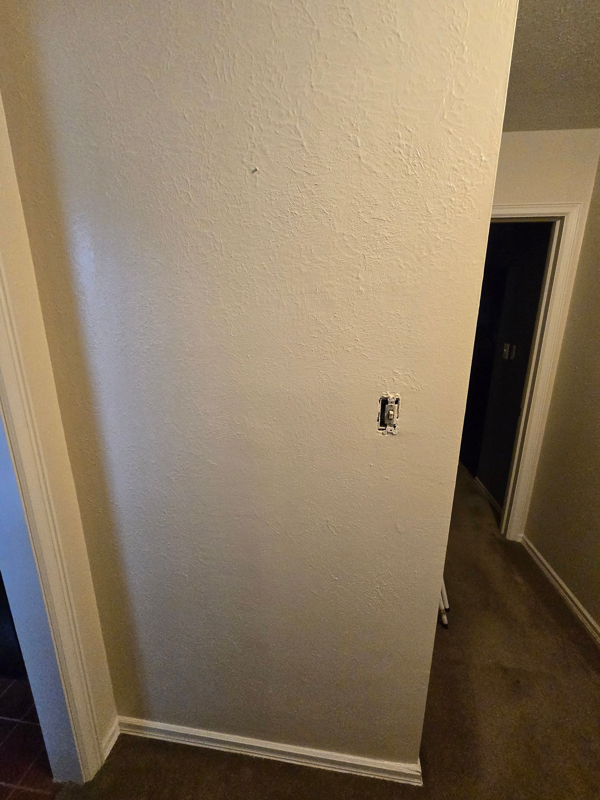 A hallway with a door and a wall with a light switch on it.