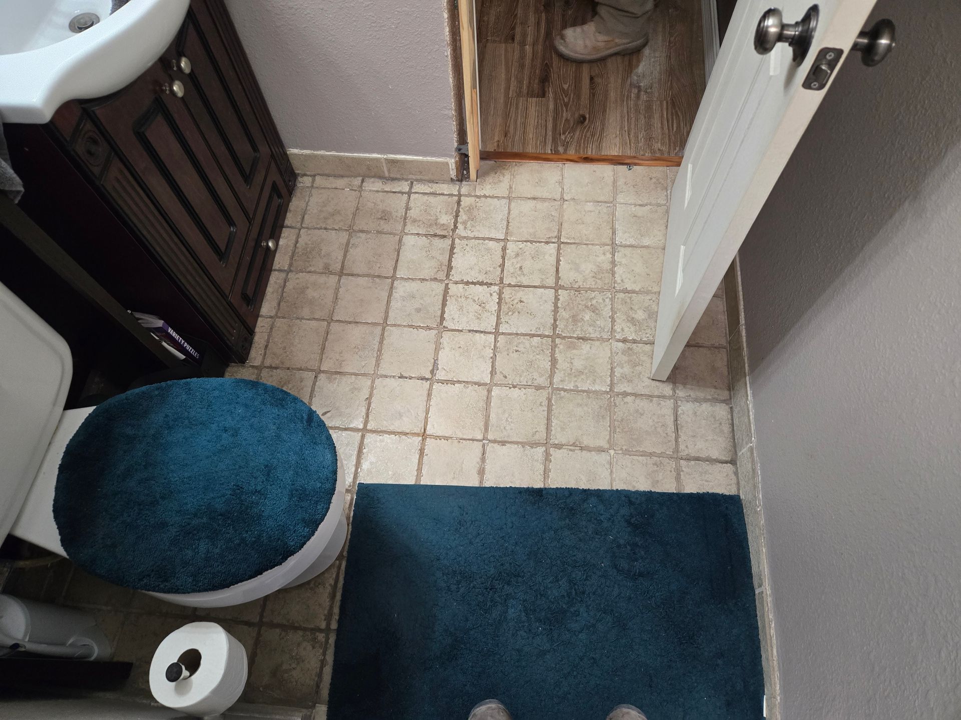 A bathroom with a toilet a sink and a blue rug