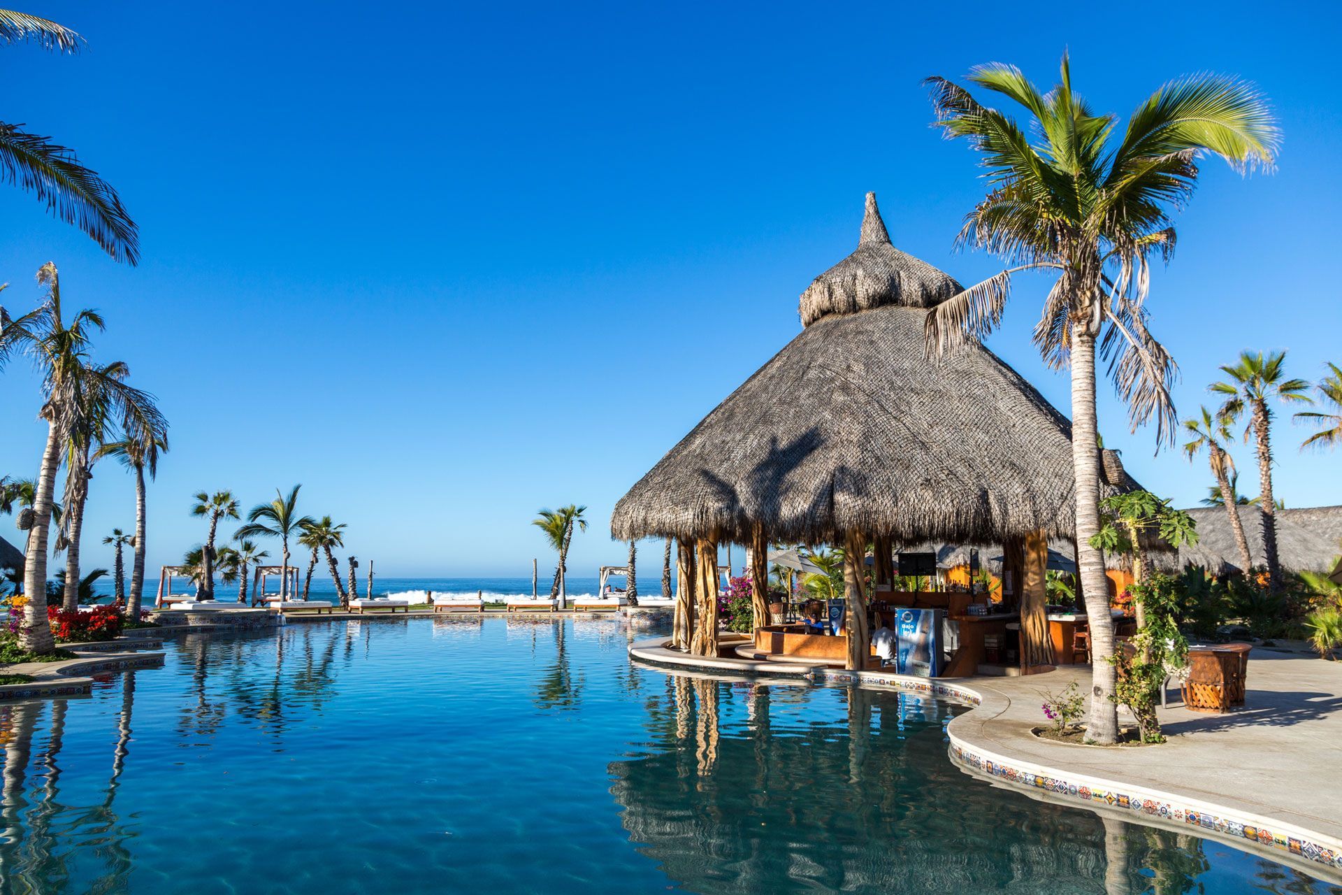 A pool with a thatched-roof tiki bar under a clear blue sky, surrounded by palm trees overlooking the ocean.