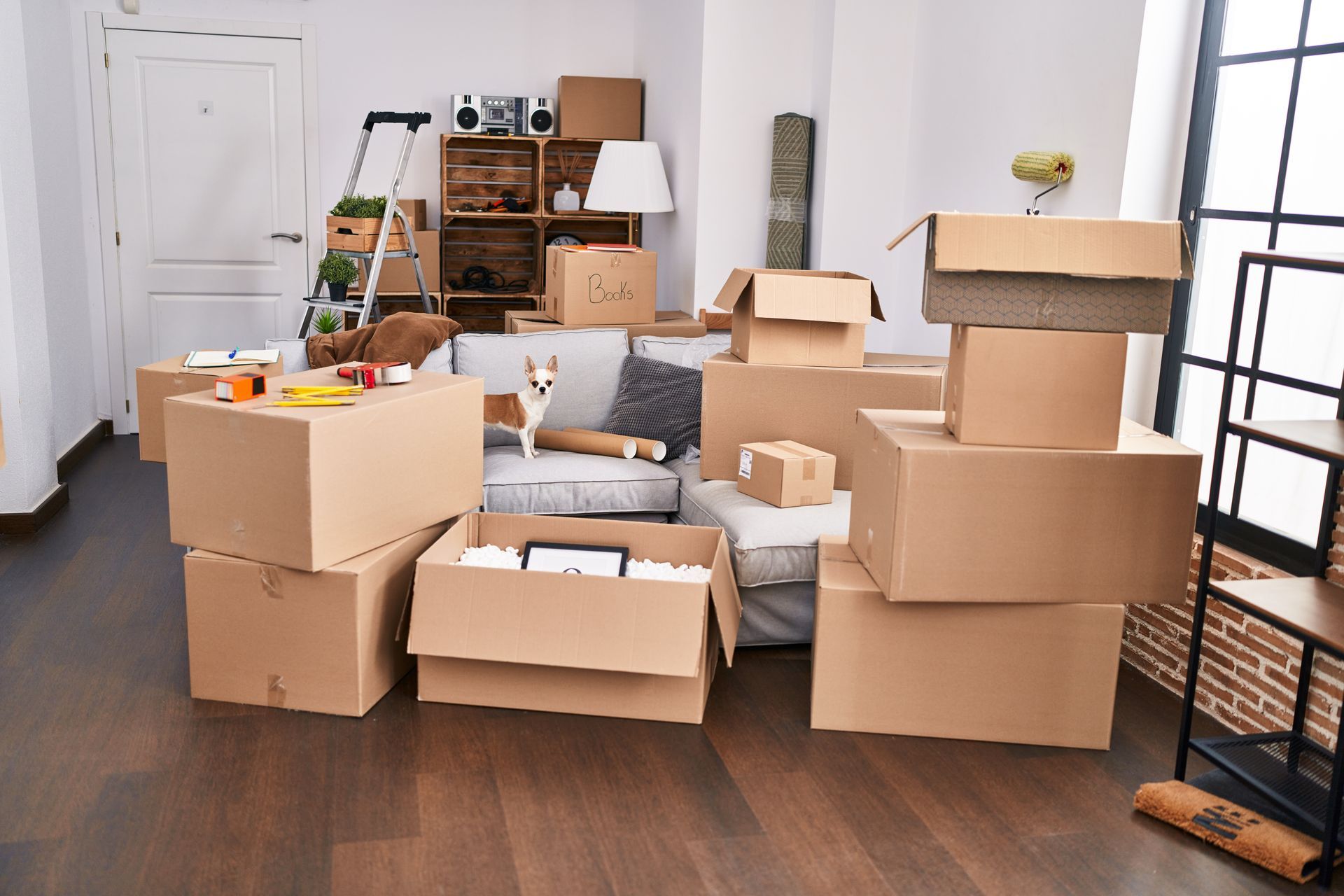 A small white dog stands on a sofa in a living room filled with cardboard moving boxes.