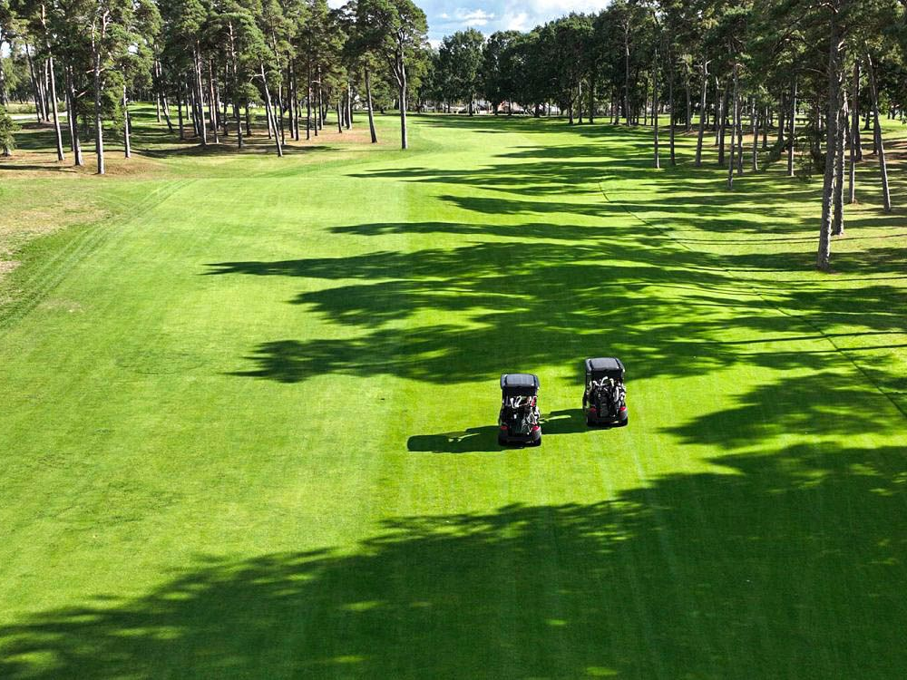 Ein Golfwagen auf einem Golfplatz mit Palmen im Hintergrund