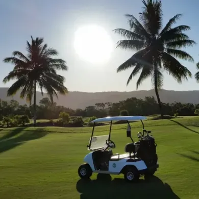 Ein Golfwagen auf einem Golfplatz mit Palmen im Hintergrund