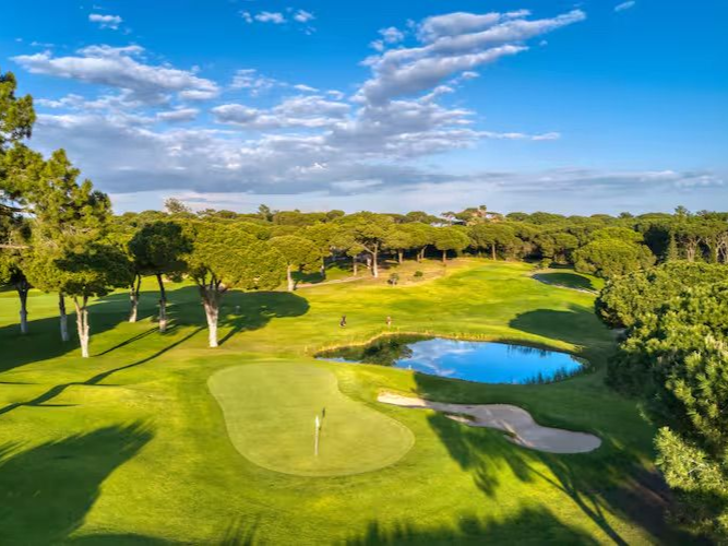 Ein Golfwagen auf einem Golfplatz mit Palmen im Hintergrund