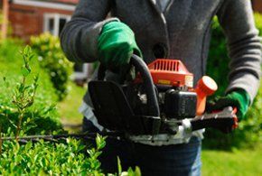 Garden services - Gloucester, Gloucestershire - M & D Garden Maintenance - hedge trimming