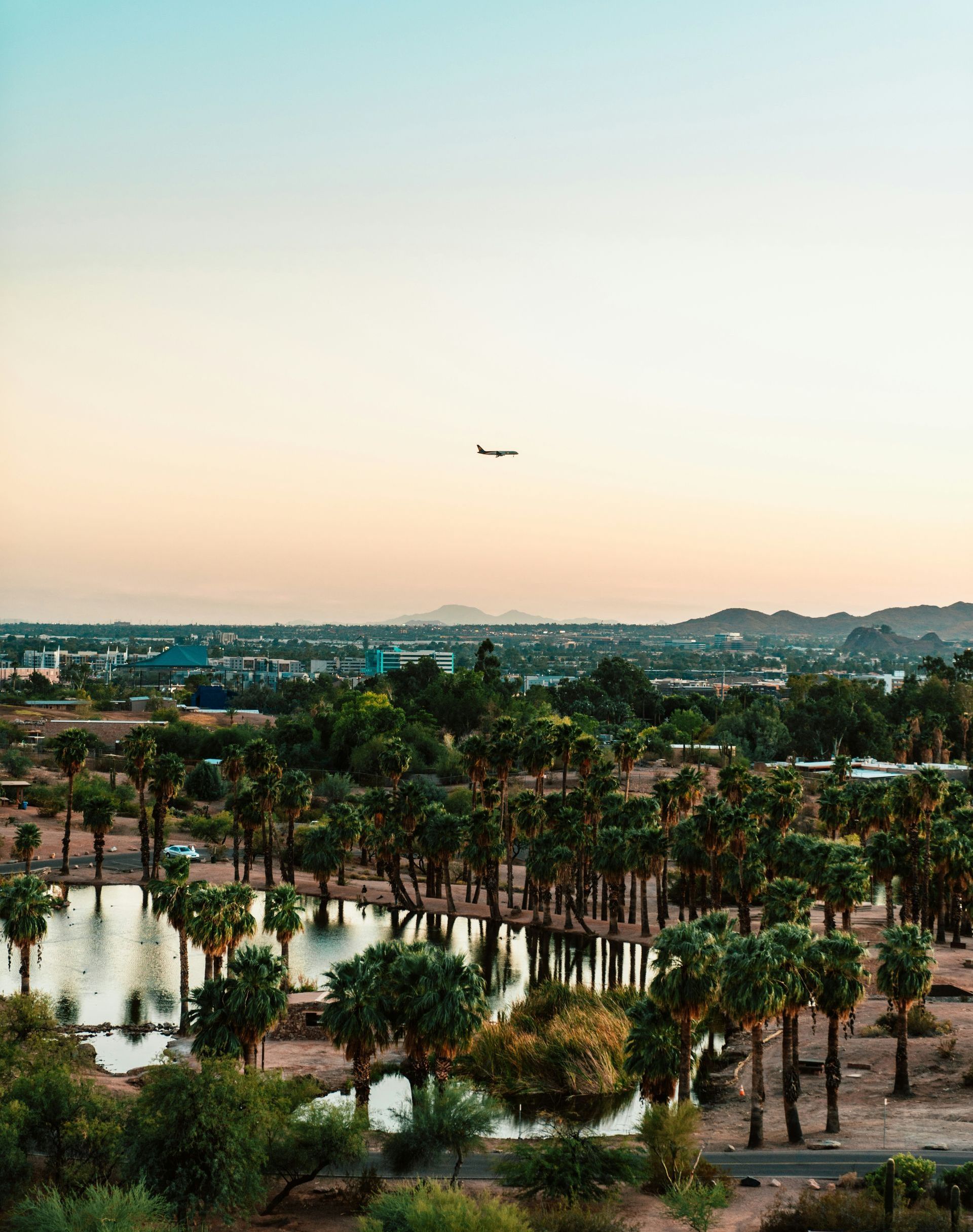 An aerial view of a park with palm trees and a plane flying overhead.