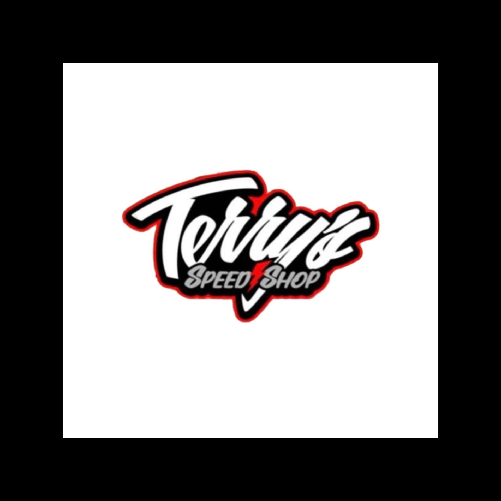 Logo for Terry'z Speed Shop: white script text with red and black outline, over a lightning bolt on a white background.