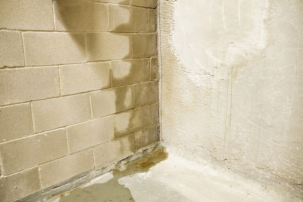 A damp concrete block wall in a basement with water staining and a small pool of water on the floor at the corner.