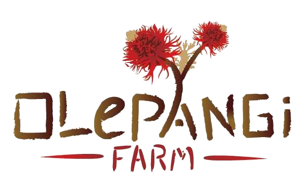 Olepangi Farm | Kenya