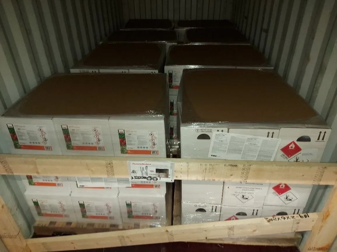 Cordstraps to secure cargo logistics