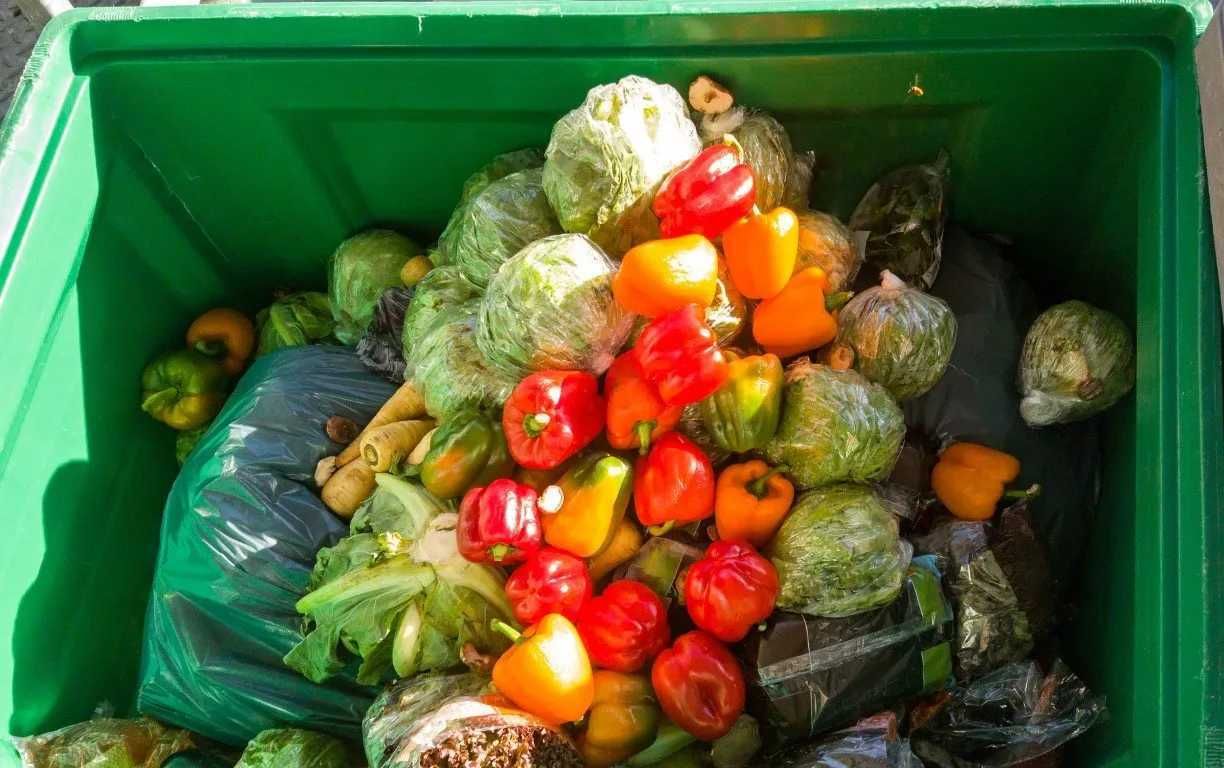 Global logistics reducing food waste