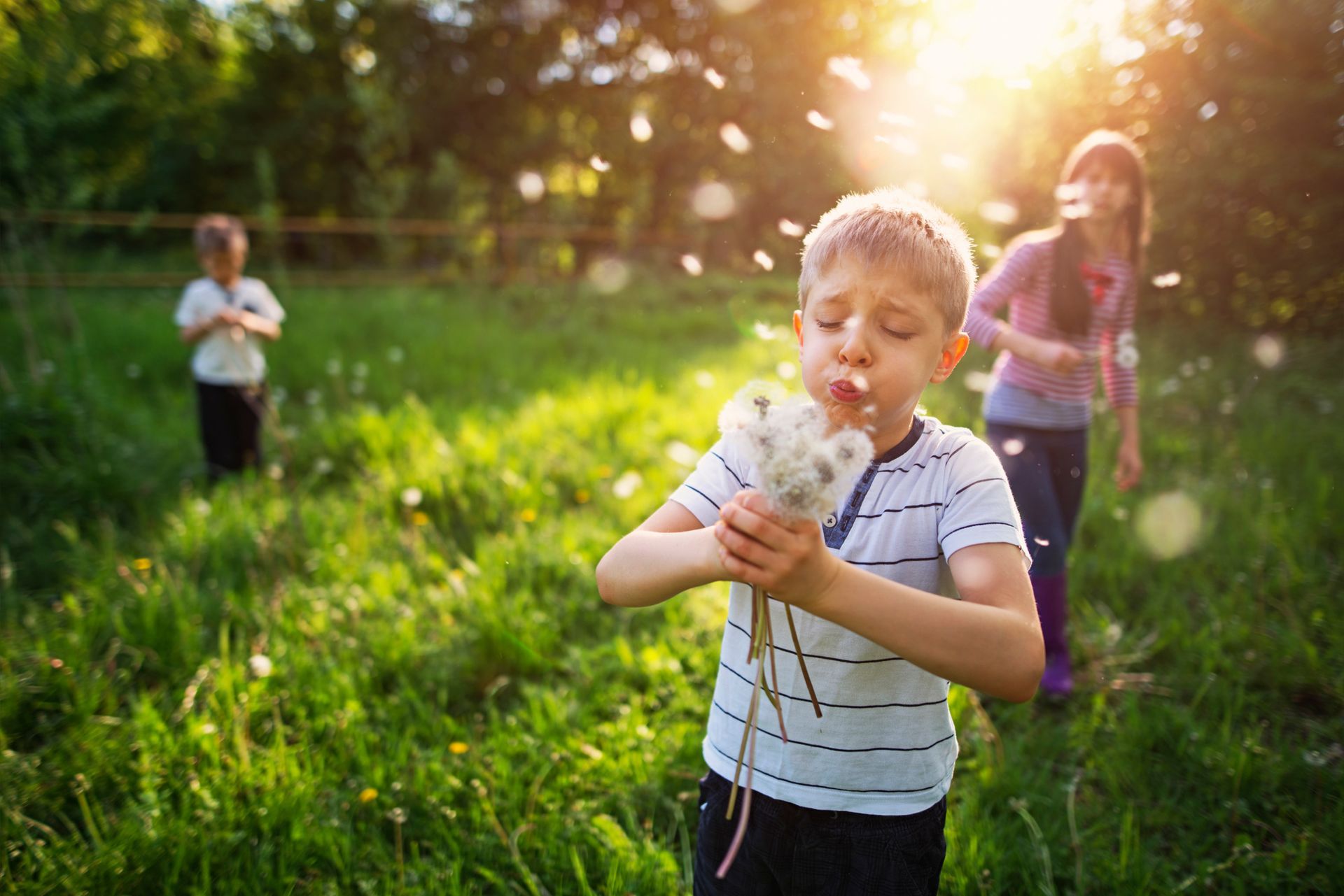 young boy blowing on dandelion outside