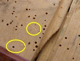 Damp proofing - Barnsley - Brick Tie Preservation - Active Woodworm