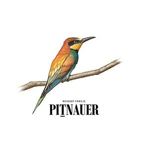 Pitnauer