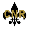 Black fleur-de-lis with gold 