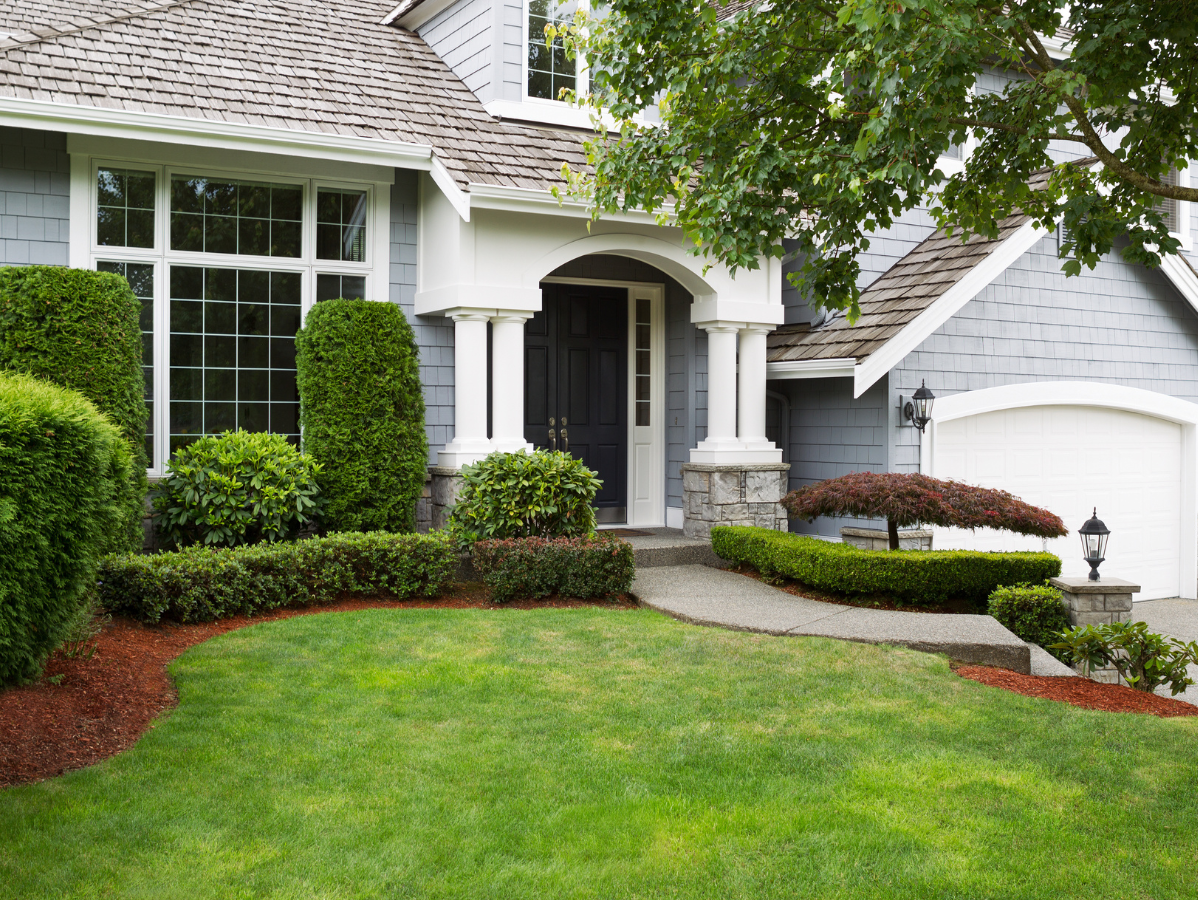 Gray house with lush green lawn, landscaped bushes, and walkway leading to the front door.
