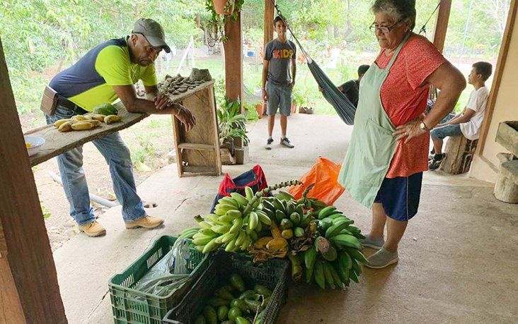 A man and a woman are standing next to a bunch of bananas.