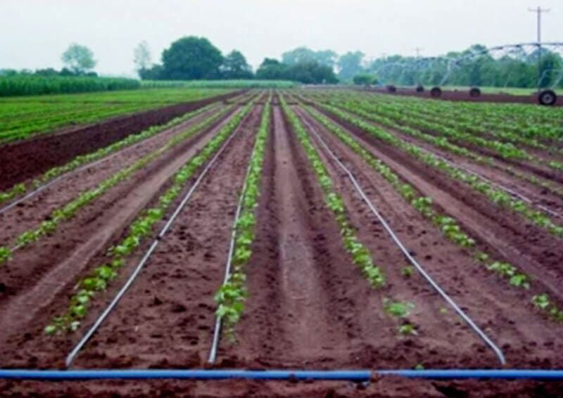 PLASTICALIDAD GOM  - MATERIALES DE CALIDAD