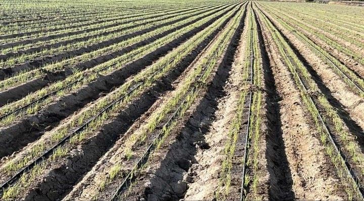 PLASTICALIDAD GOM  - VARIEDAD DE PRODUCTOS