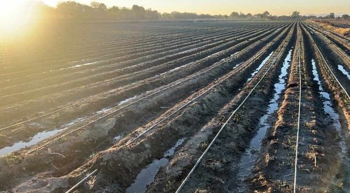 PLASTICALIDAD GOM  - MANGUERAS POR METROS