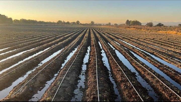 PLASTICALIDAD GOM  - SERVICIO A DOMICILIO