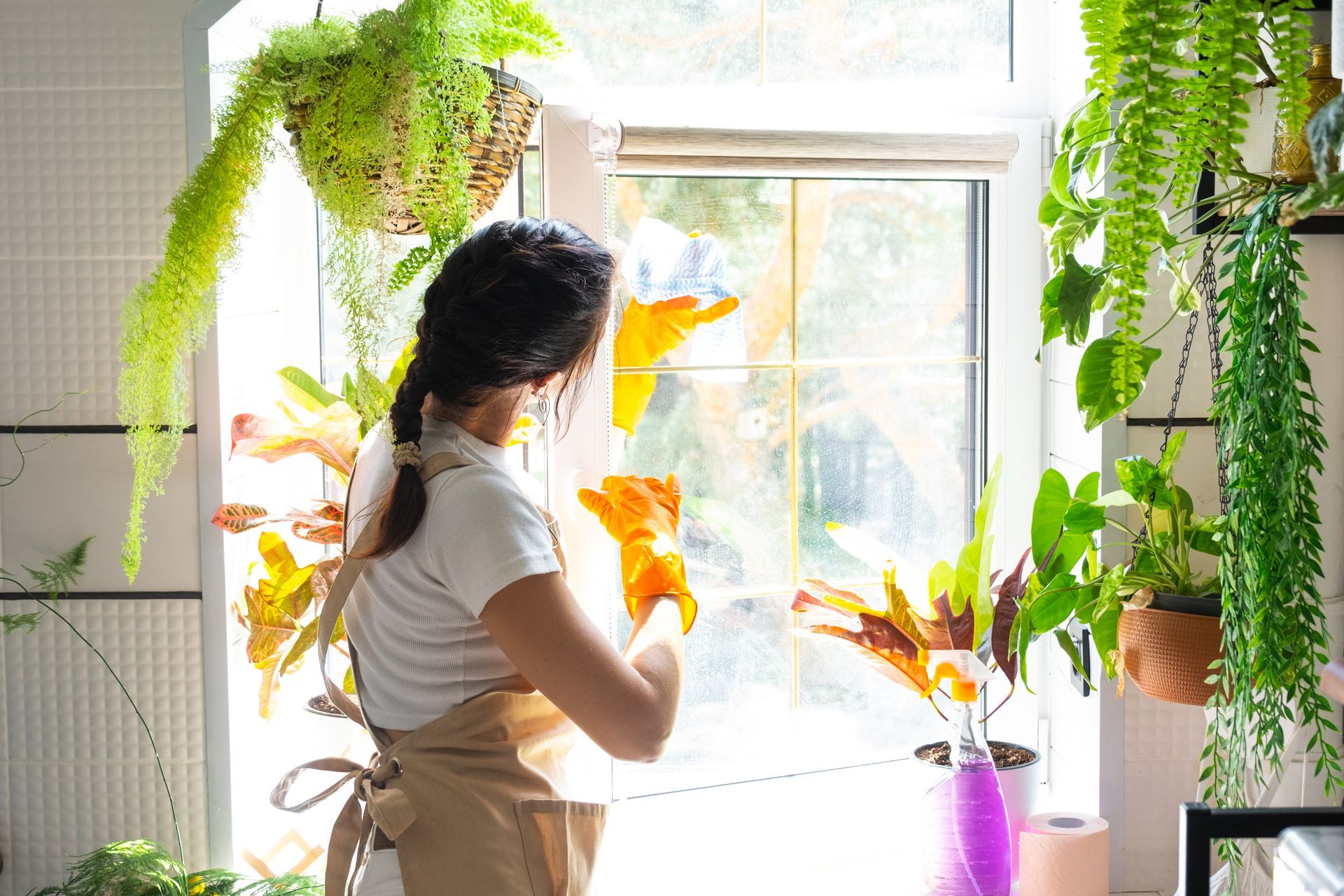 Eine Frau mit Handschuhen putzt ein Fenster; sie ist in einem hellen Raum von Pflanzen umgeben.