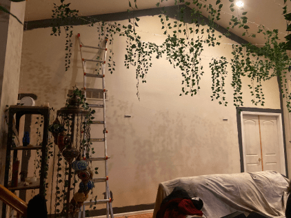 A living room with a ladder and ivy on the wall