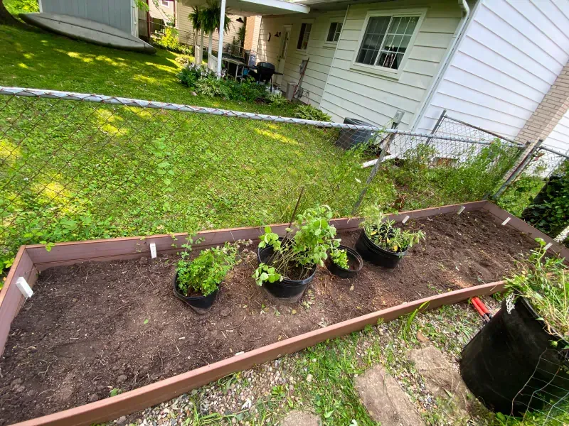 A garden bed with potted plants in front of a house.