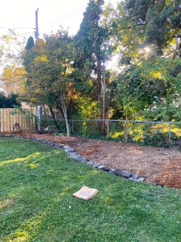 A backyard with a fence and trees in the background.