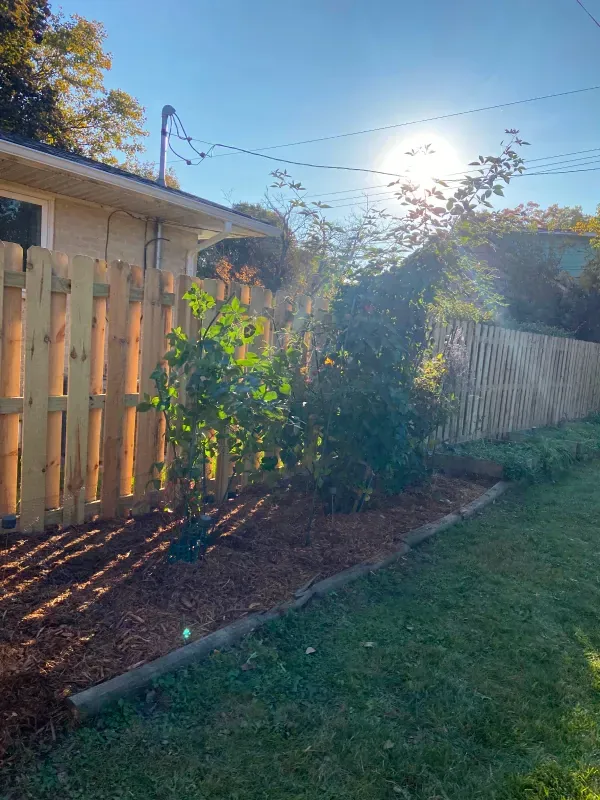 A wooden fence is in the backyard of a house.