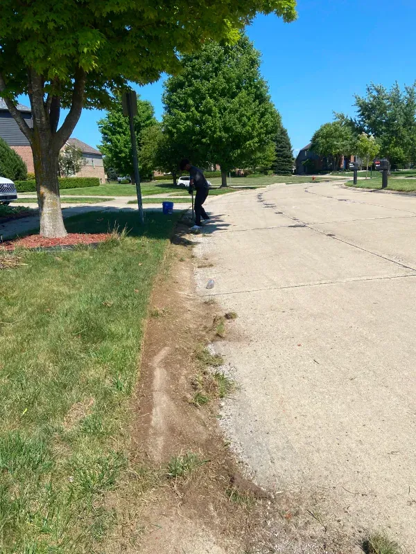A person is standing on the side of a road next to a tree.