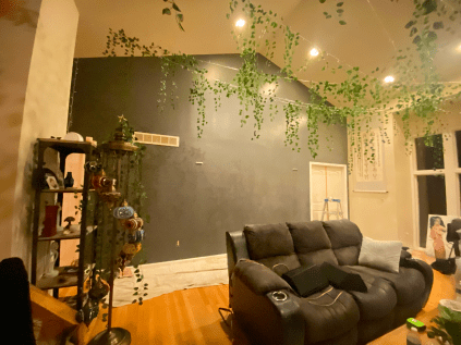 A living room with a couch and plants hanging from the ceiling.