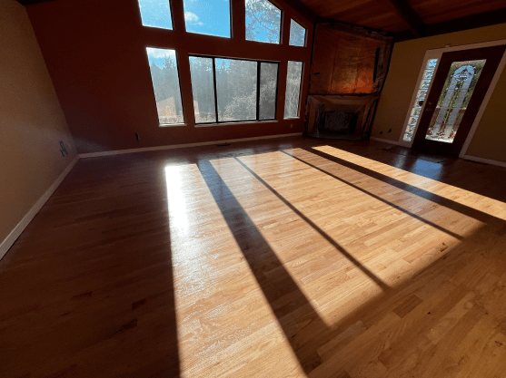 A living room with hardwood floors and a fireplace.