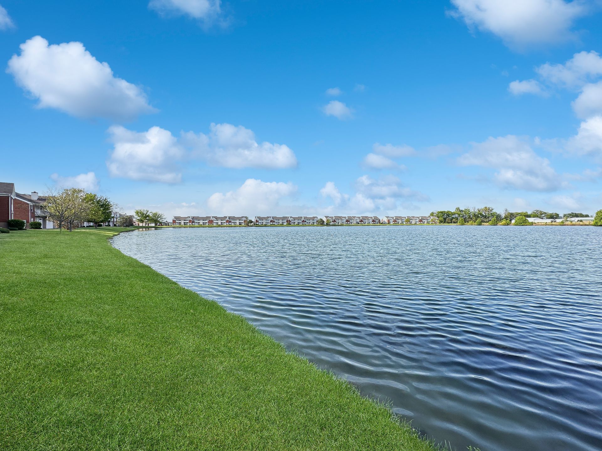 Grassy lakefront with blue water under a bright blue sky with fluffy clouds. Buildings in the distance.