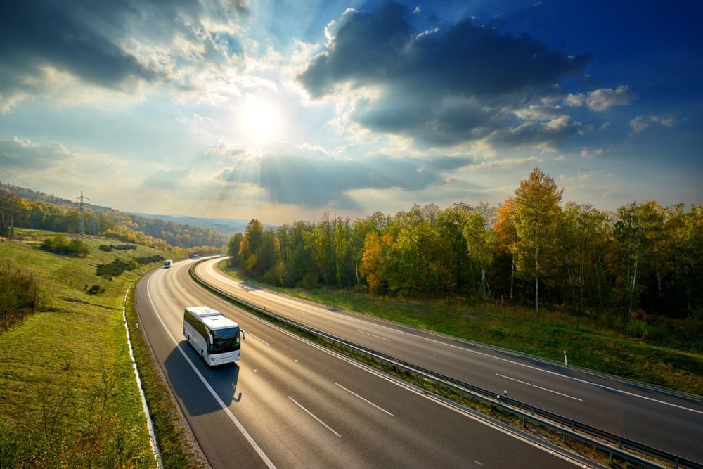 A Bus Is Driving Down a Highway Next to A Forest — G & D Ross Bus Charters In Emerald, QLD
