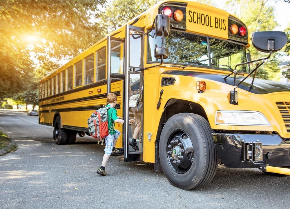 A Boy Is Getting Off a Yellow School Bus — G & D Ross Bus Charters In Bundaberg, QLD