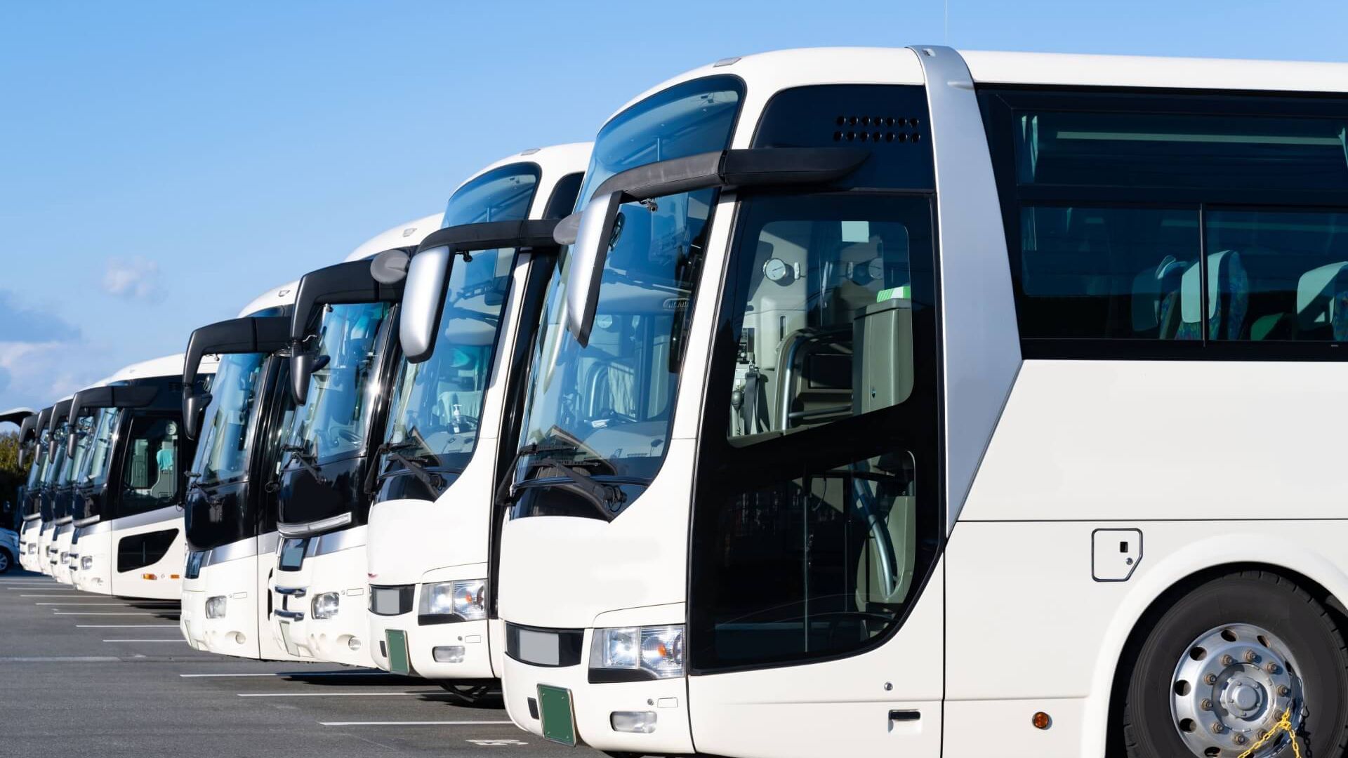 A Row of White Buses Parked in A Parking Lot — G & D Ross Bus Charters In Magnolia, QLD