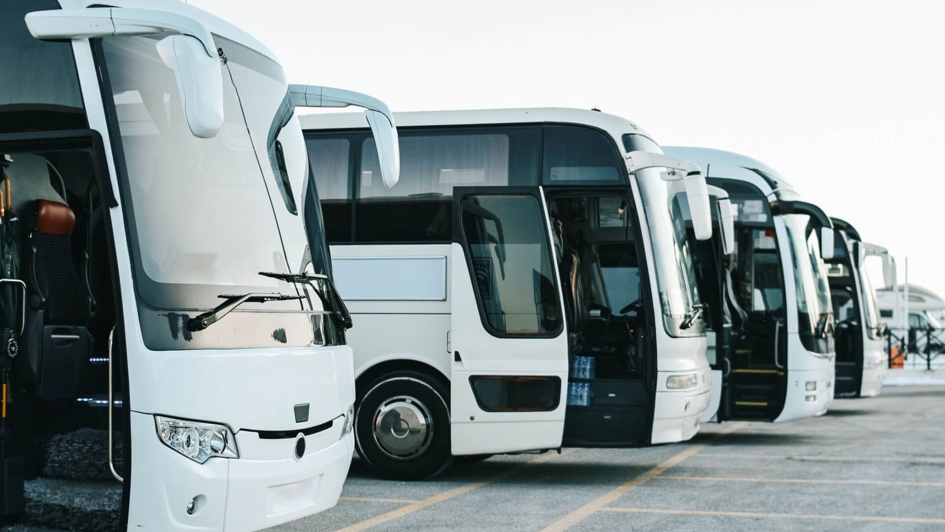 A Row of Buses Parked Next to Each Other in A Parking Lot — G & D Ross Bus Charters In Magnolia, QLD