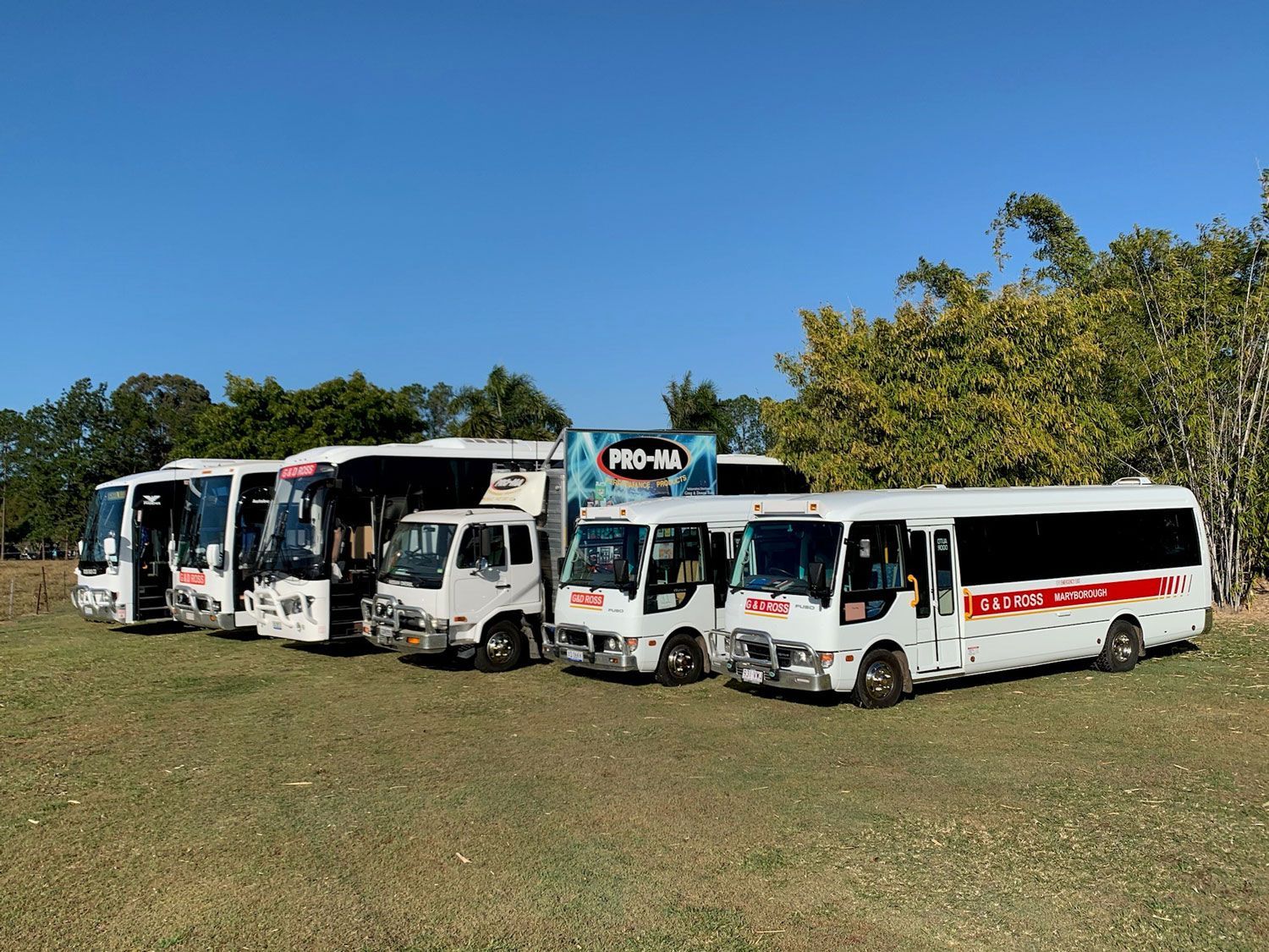 Different Vehicle And Bus Tour In Queensland