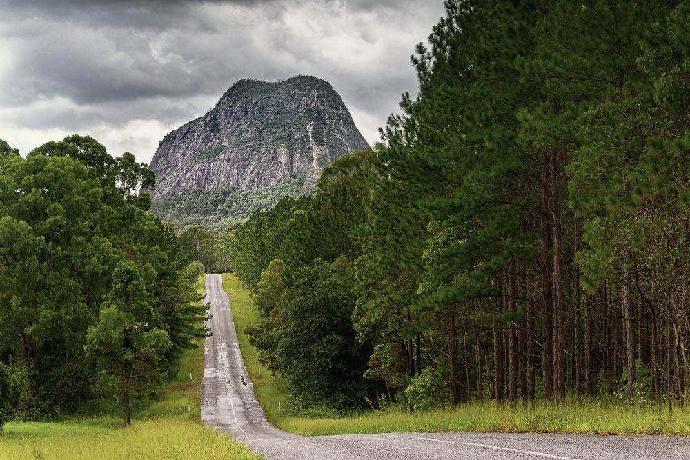 A Road Going Through a Forest with A Mountain — G & D Ross Bus Charters In Maleny, QLD
