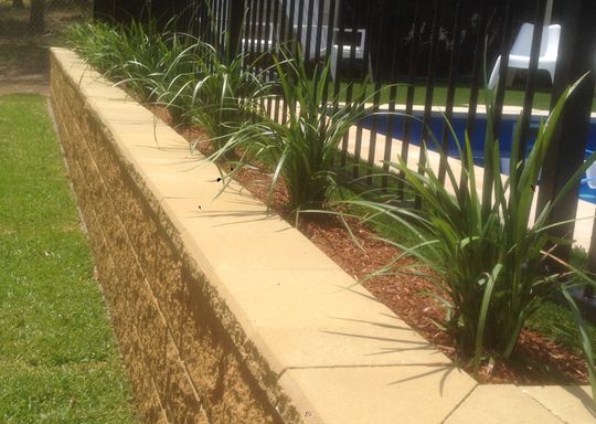 Landscaping work