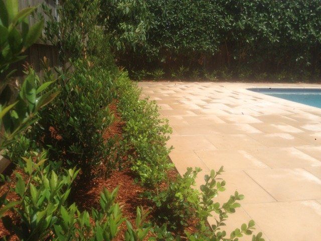 Pool side landscaping work