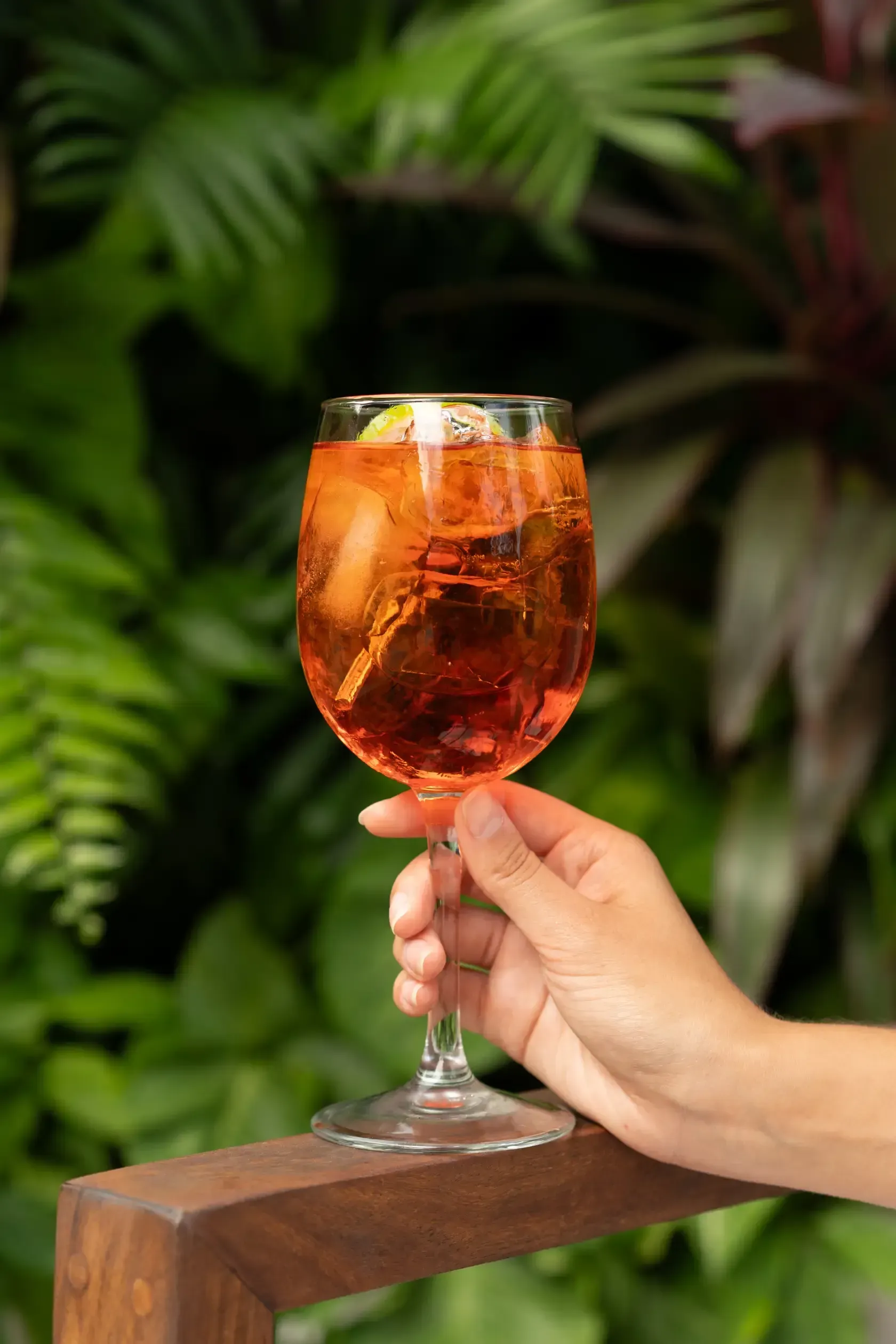 Mano sosteniendo una copa de vino con un cóctel de naranja, guarnición de limón, sobre un fondo de follaje verde.