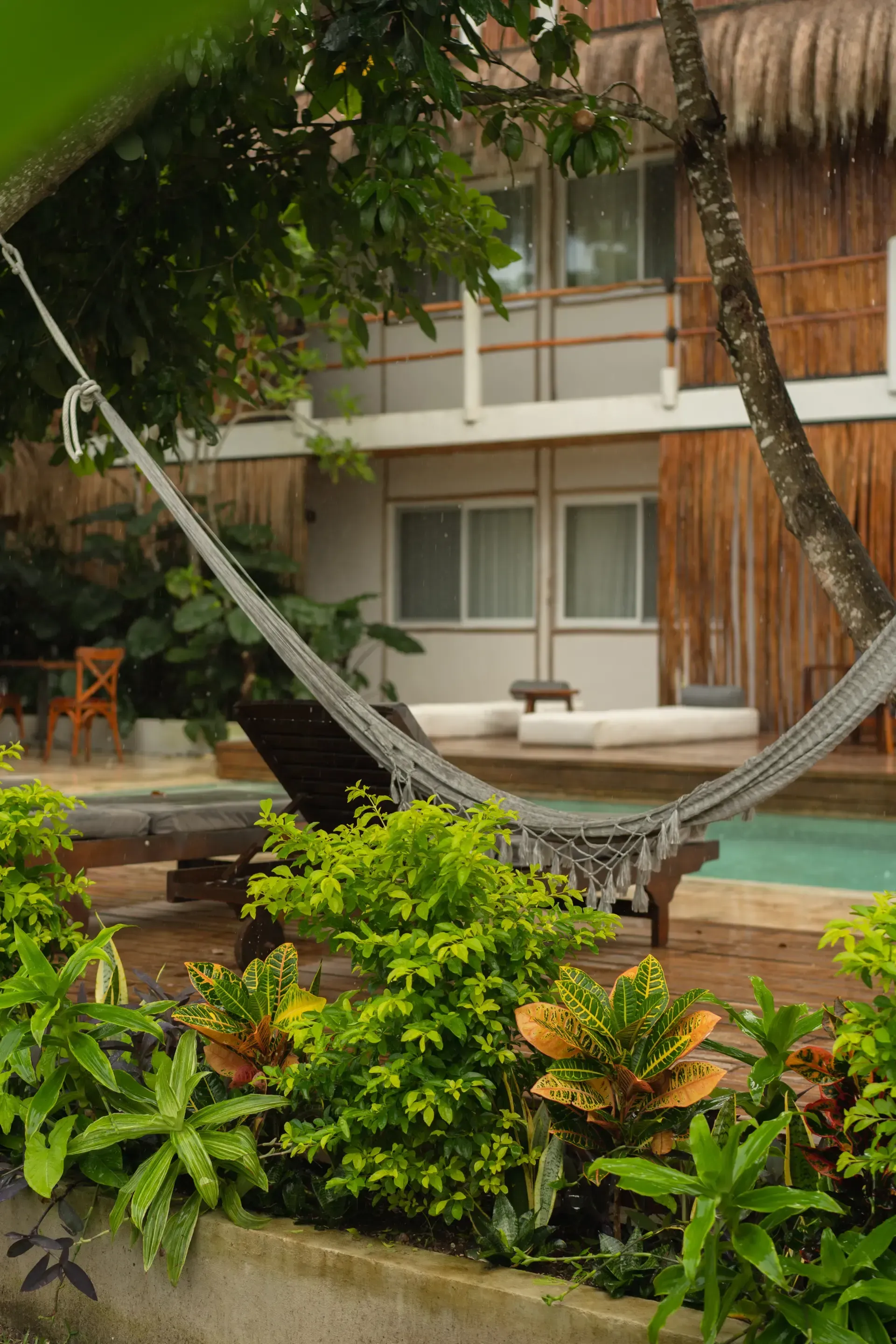 Hamaca colgada entre árboles y edificio con piscina; follaje tropical en primer plano.